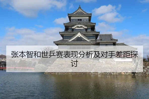 张本智和世乒赛表现分析及对手差距探讨